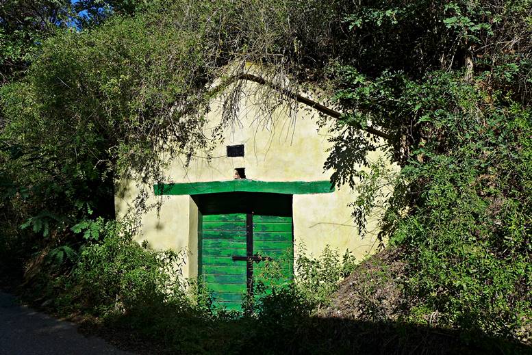 In der Kellergasse von Herrnbaumgarten