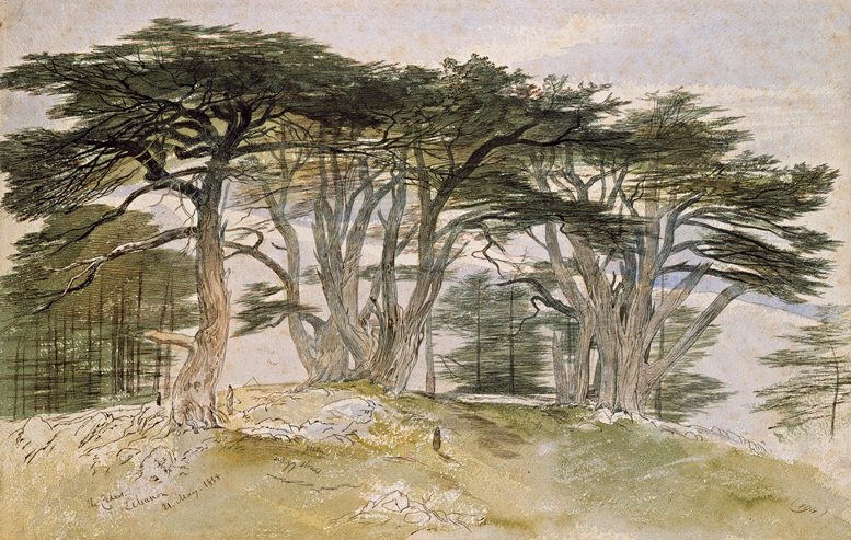 Edward Lear: Die Zedern des Libanon, 1858.