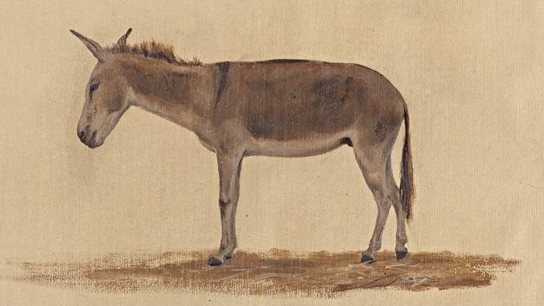 Frederic Edwin Church: A Donkey (1853). Cooper-Hewitt Smithsonian Design Museum, New York