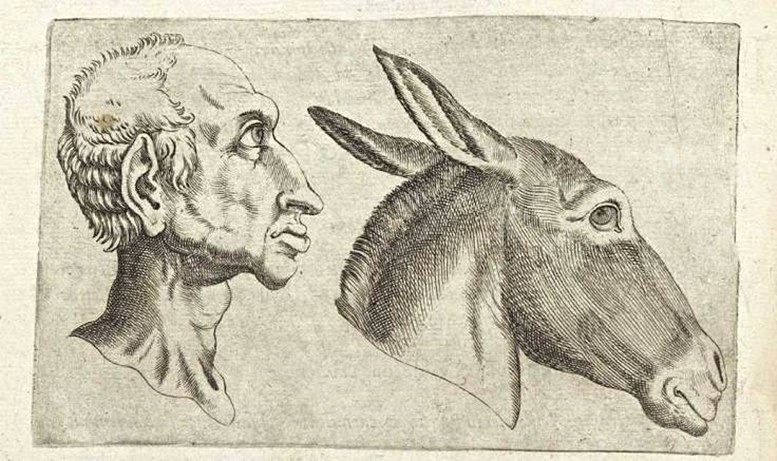 Mensch-Esel-Vergleich aus Giambattista della Portas „De humana physiognomonia“ (1586)