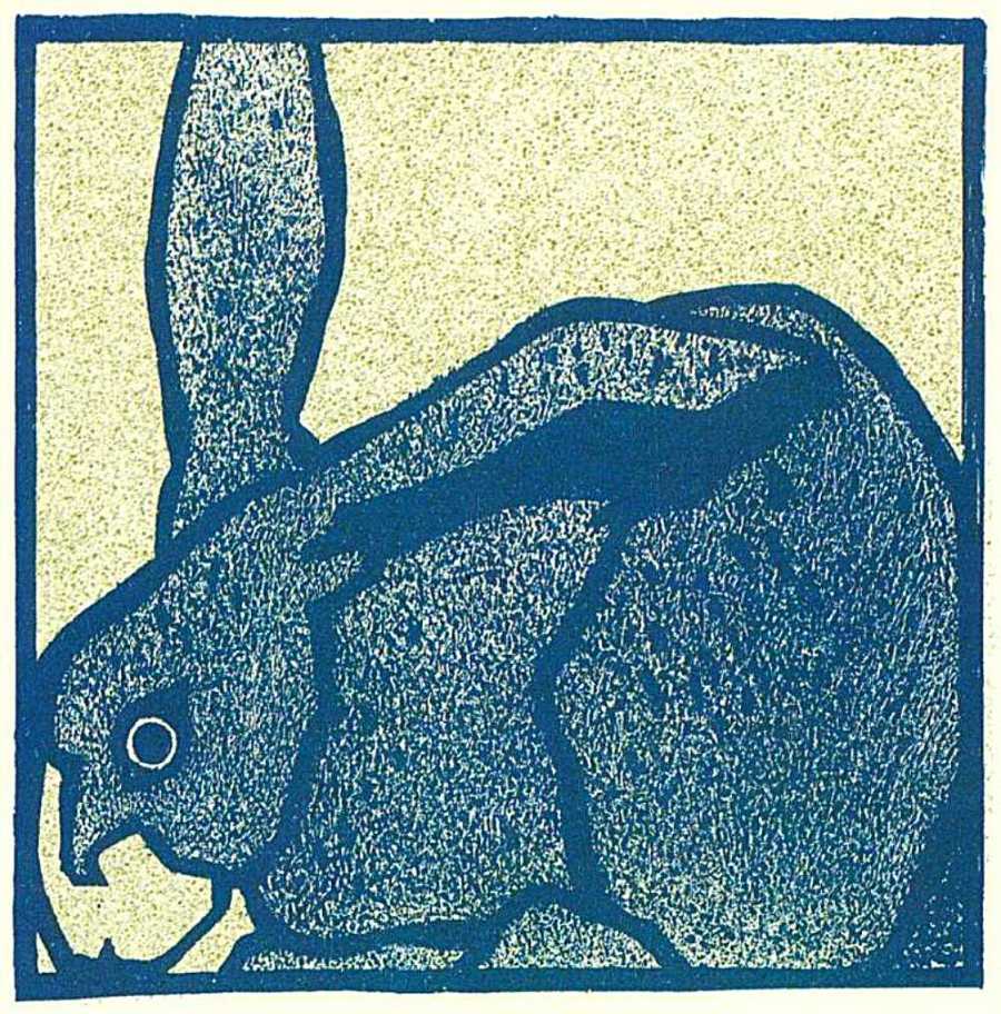 Hilde Exner: Entwurf für einen „Kachelschnitt“, publiziert in: Die Fläche, 9. Heft, 1903