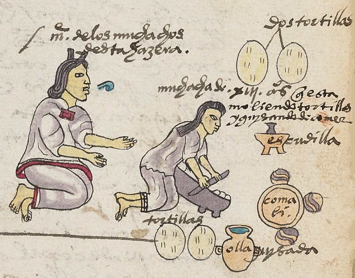 Herstellung von Tortillas auf einer Abbildung aus dem Codex Mendoza (Folio 60r. Foto © Bodleian Libraries, University of Oxford, CC BY-NC 4.0)