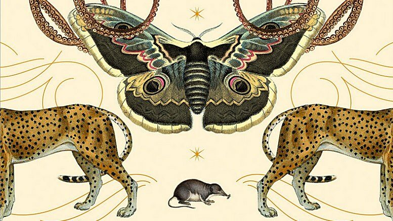 Ausschnitt aus dem Cover des Buches „Sentient. What animals reveal about our senses” von Jackie Higgins