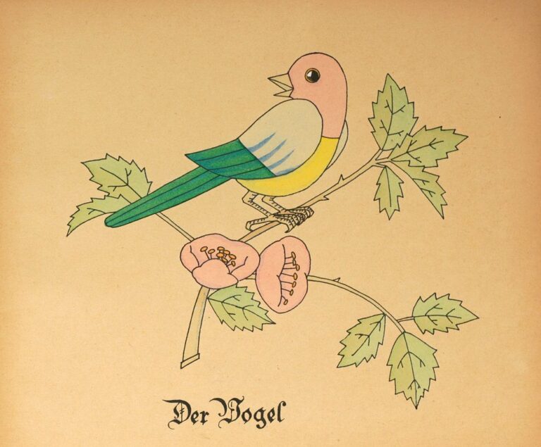 Seidmann Freud Buch der Dinge 02