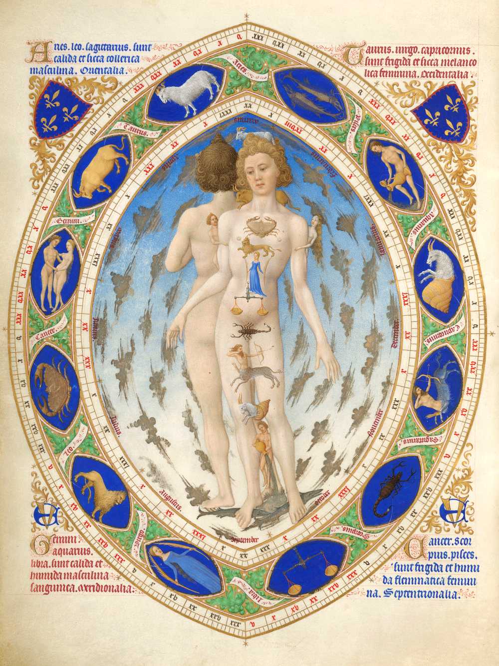 „L'Homme anatomique“ aus „Les Très Riches Heures du Duc de Berry“, zwischen 1411 und 1416 (Wikimedia Commons)