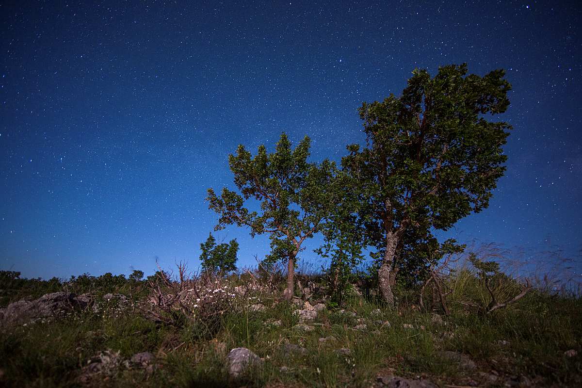Als einer der besten Plätze zum Sterneschauen wurde der „Vrani Kamen Dark Sky Park“ in Kroatien – wo die Lichtverschmutzung vielerorts sehr gering ist – gewählt. (Foto © Getty / Romulic-Stojcic)
