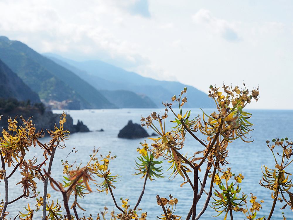 Cinque Terre 4 02