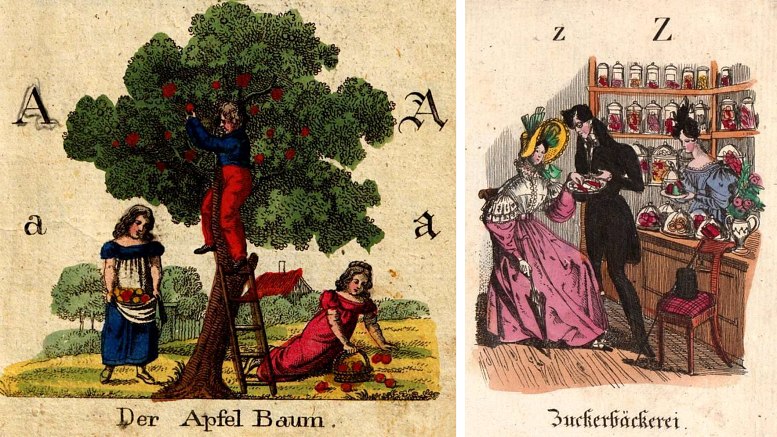 DIE BUNTE WELT DER FIBELN