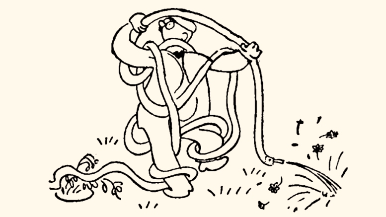 MONATSBILDER NOVEMBER