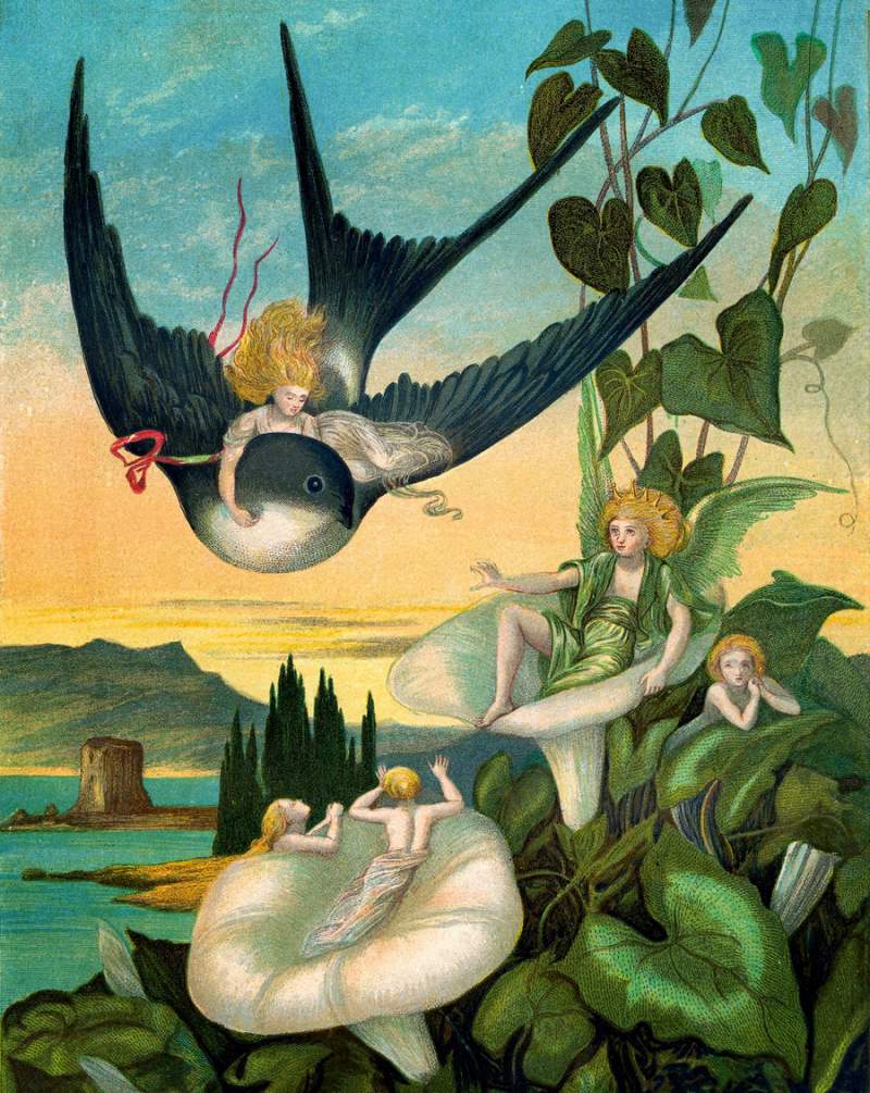 Illustration zum Andersen-Märchen „Däumelinchen“, geschaffen von der schottischen Künstlerin Eleanor Vere Boyle (1825–1916). Publiziert wurde das Bild in dem 1872 in London erschienenen Band „Fairy Tales by Hans Christian Andersen“, und es dient auch als Coverillustration für das Buch von Joanna Ebenstein