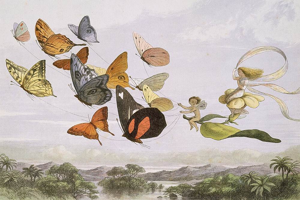Der englische Grafiker Richard Doyle (1824–1883) schuf diese Illustration zu dem 1884 in London veröffentlichten Märchenbuch „The Princess Nobody. A Tale of Fairyland“ von Andrew Lang
